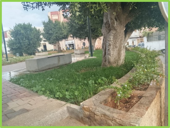 591989571-25117678031235878-1626736899943279994-n