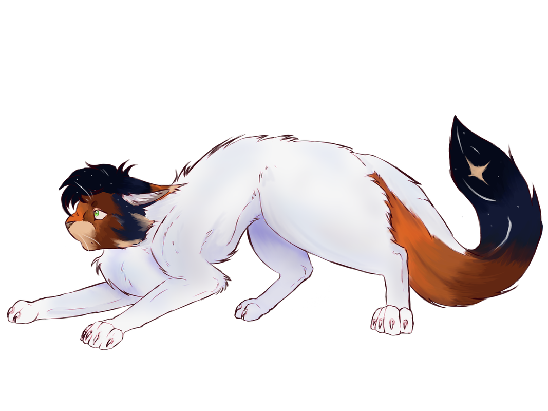 Untitled404-20250720180006.png