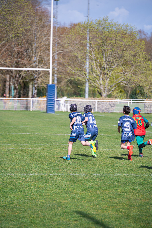 tournoi-de-latlantique-2026-adonis-griffon-172-55181686915-l