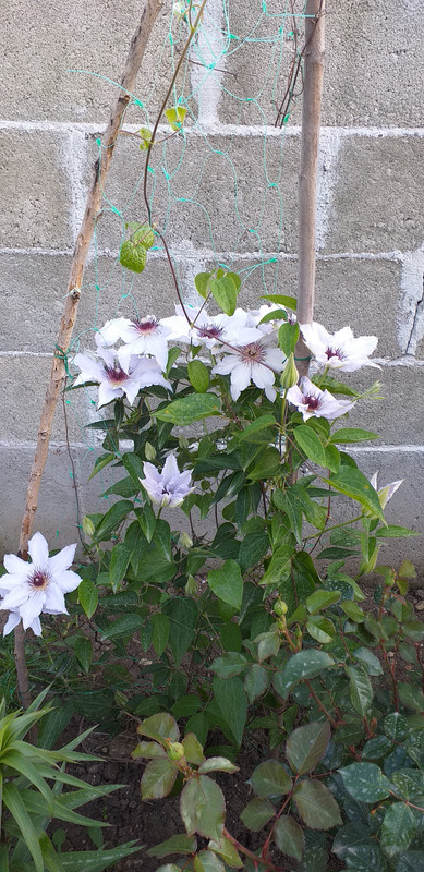 20190502_185324