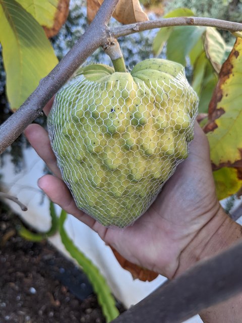 PXL_20221208_234040284