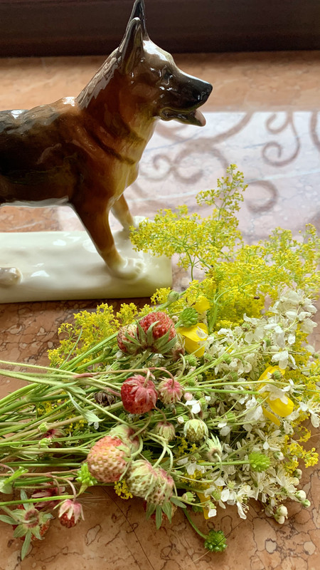 DCF5EC64-C9F9-40A3-924A-8AACD80FA004