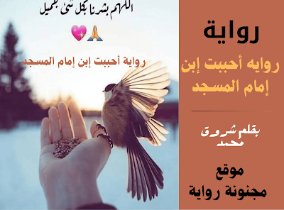 رواية احببت ابن امام المسجد pdf