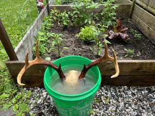 5E0F0364-B568-4FCD-9735-3C9B6A2ED17D