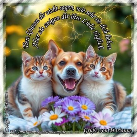 An den Beitrag angehängtes Bild: https://i.postimg.cc/qRrxMtKt/256-Zwei-Katzen-ein-Hund.jpg