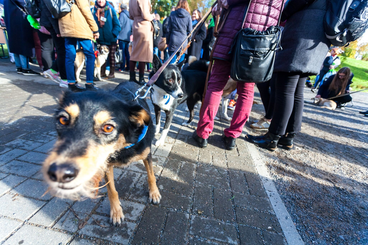 FE301741-0BB4-48E2-978A-8DC5062F6B46