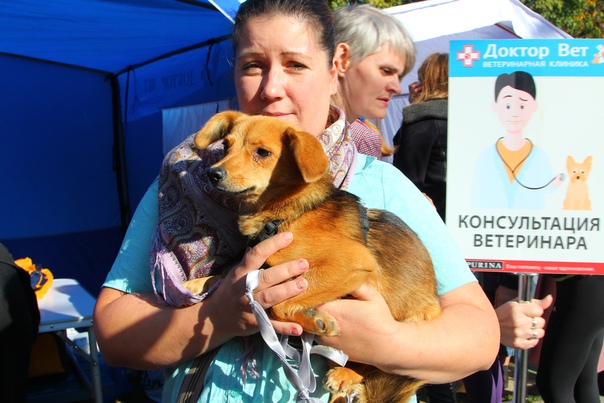 BD69994B-E9C4-4A14-A6FF-A78689624680