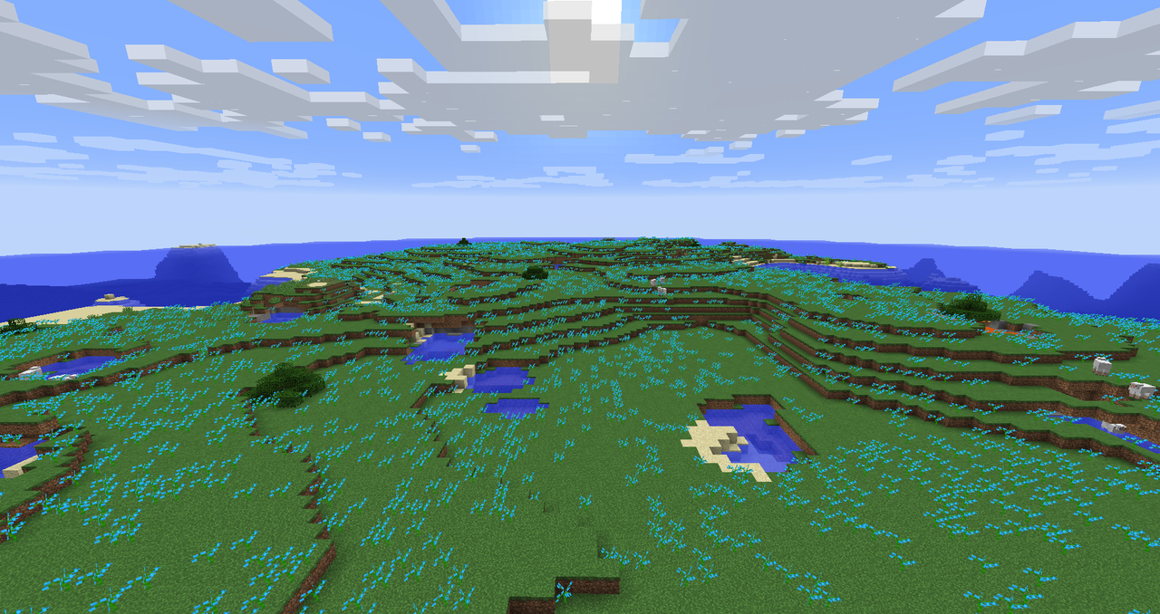 Orchid Fields