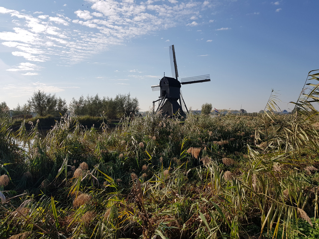 Pieter, De Blokker - Blokweerse Wip 03 Alblasserdam (Kinderdijk)