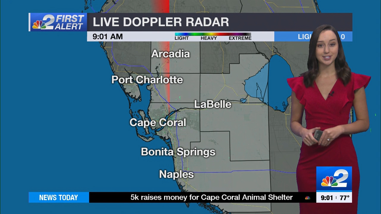 04.16 - 14.00.00 - NBC 2 News Today - Sunday  ᴺᵉʷ..ts_snapshot_00.07.45.015