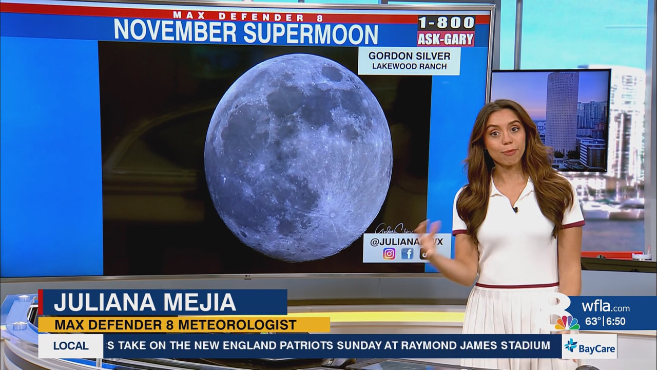 News Channel 8 Today at 6a 20251105 11001200 ts snapshot 00 51 57 910
