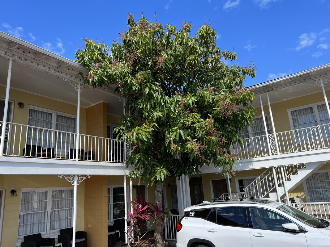 14D49B9D-58E8-4116-BCBF-63E0F97F4E0F