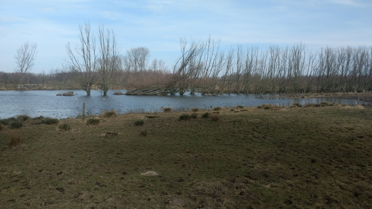 IMG_20180318_114312266