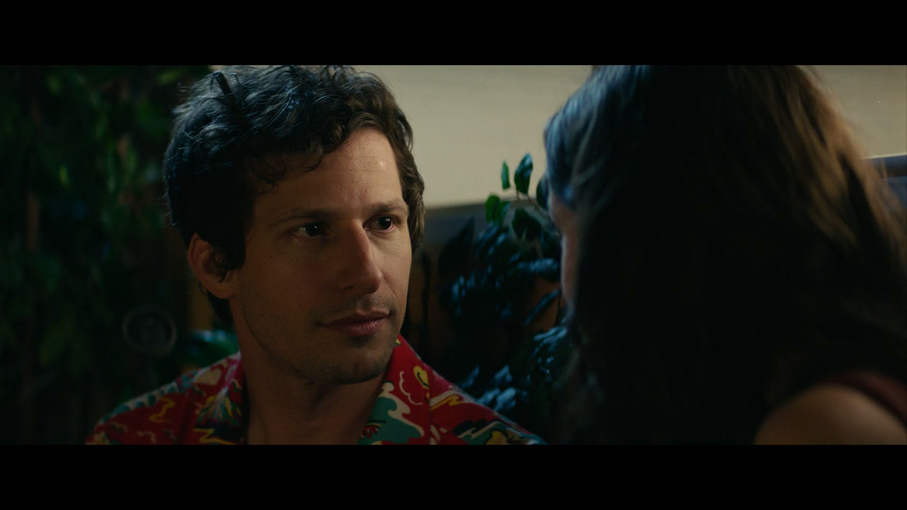 Palm Springs (2020) (1080p HULU Webrip x265 10bit EAC3 5.1 - HxD) [TAoE].mkv_20200723_103055.719