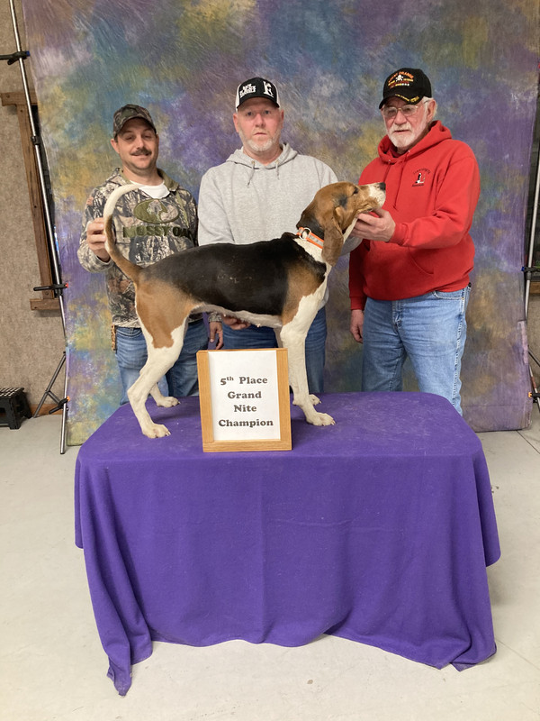 8397CA36-B380-4D16-B5DC-60A61A82ADC8