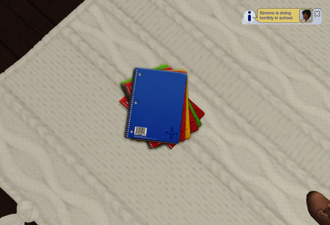 Sims2-EP9-RPC-2022-12-27-18-56-24-20