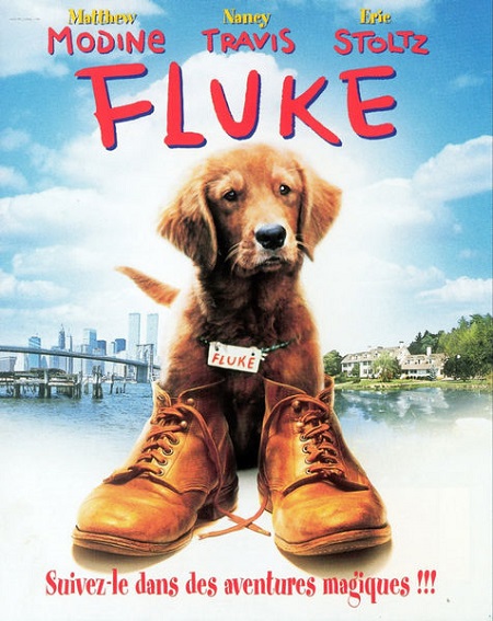 Fluke (1995) mkv FullHD 1080p WEBDL ITA ENG Subs