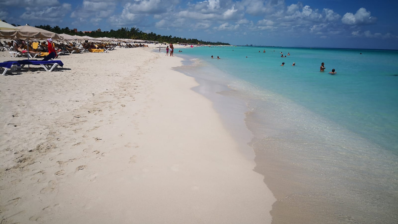 Algas en las playas de Cuba (Sargazo) - Foro Caribe: Cuba, Jamaica