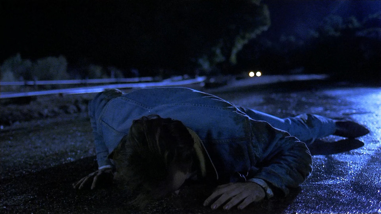 Red Rock West 1993 (1080p x265 10bit Tigole).mkv