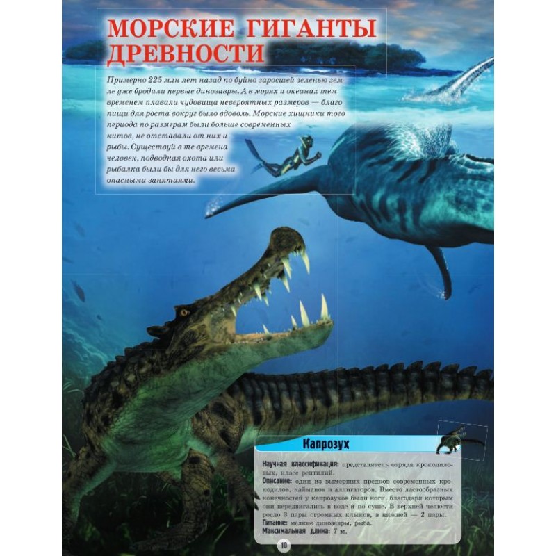 podvodnie-obitateli4-800x800