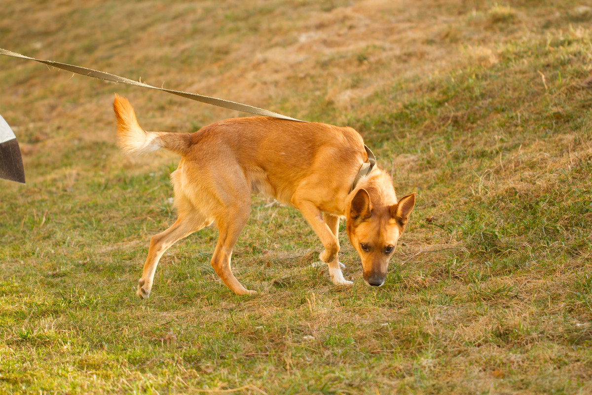 без имени-5354