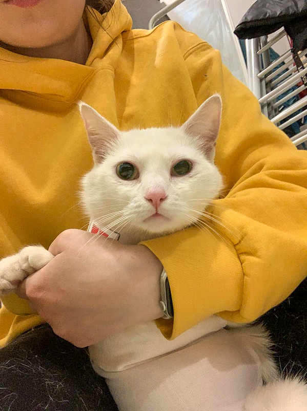 9AF5AE27-EC7B-4839-8465-ED8FBDB58EB5