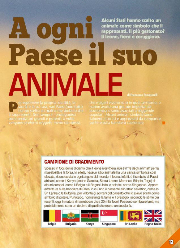 Foc Wil - Ott 2023 (2)