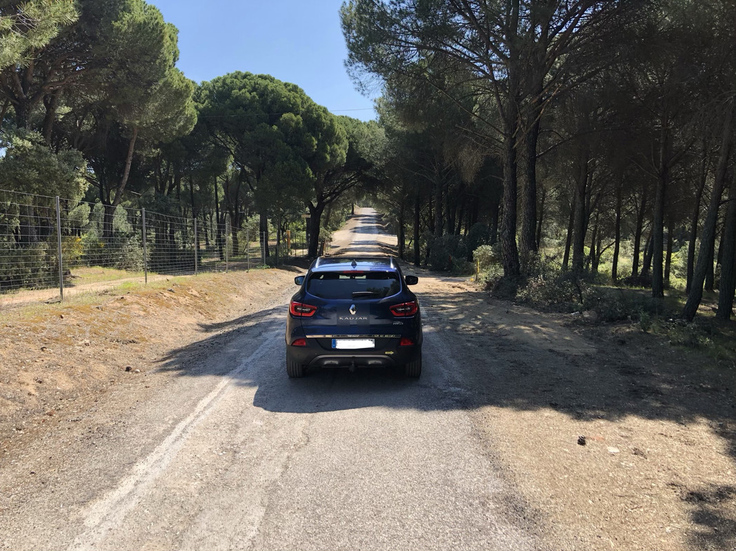 B8A08D88-CF38-4ECF-BFAB-90CE2B4BB2F4