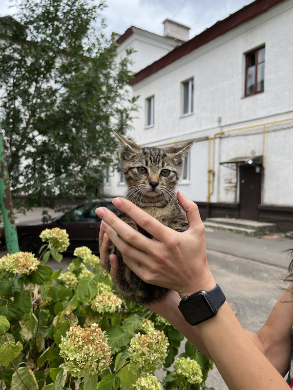 905195A5-615C-4695-86C3-A7157FF70F34