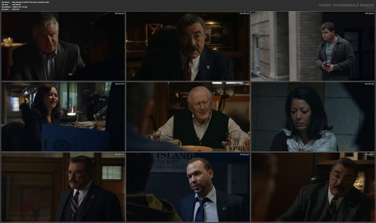Blue Bloods S12E03 Protective Instincts.mkv