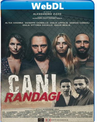 Cani randagi (2023) WEB-DL 720p H264 E-AC3+AC3 ITA