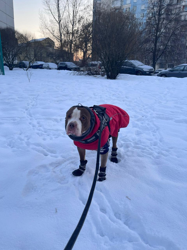 AC0F8EBD-AD8F-42CF-946E-11919E32098A