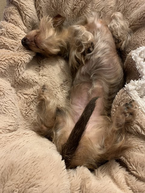 [Image: B4-E9-E33-A-00-ED-42-A2-8-F0-F-577-E1-E7-D20-AE.jpg]