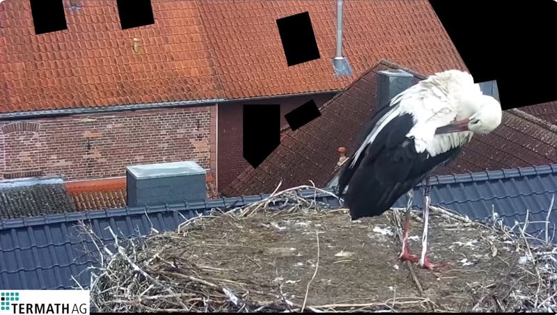Bild