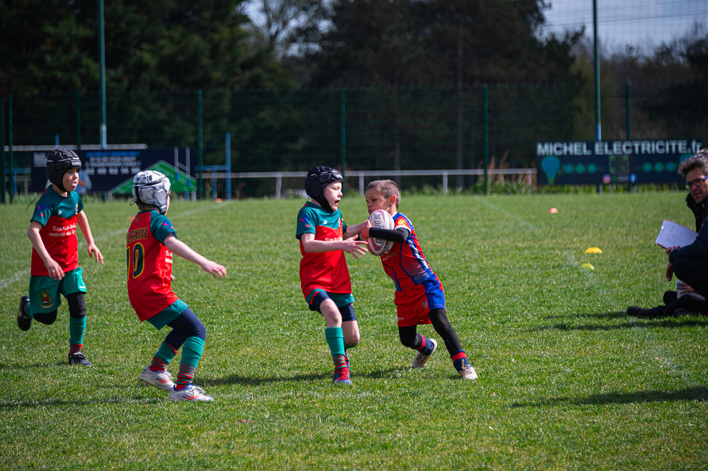 tournoi-de-latlantique-2026-adonis-griffon-77-55181289196-l