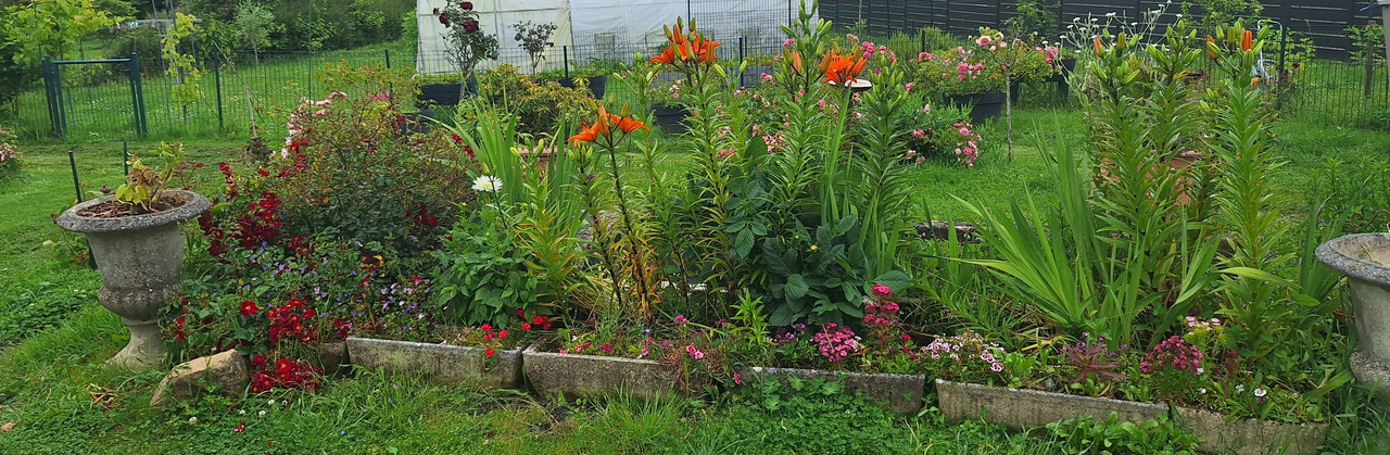 [Image: 20240620-152246.jpg]