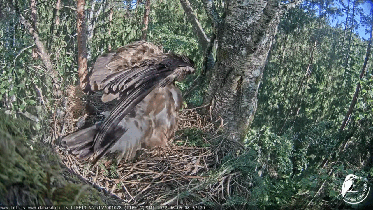 Webp.net-gifmaker (8)