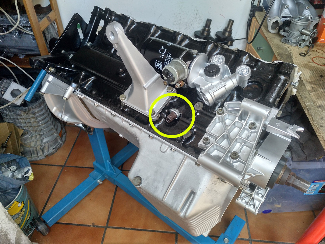 IMG_20200205_163407_176 copia