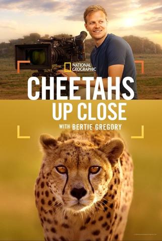 [Kép: Cheetahs-Up-Close-with-Bertie-Gregory.jpg]