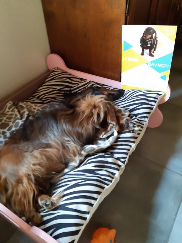 [Image: 20210721-160856.jpg]