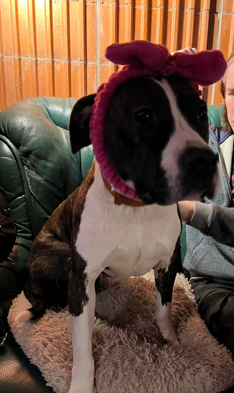 39AE3D11-7884-4055-966F-A49381275080