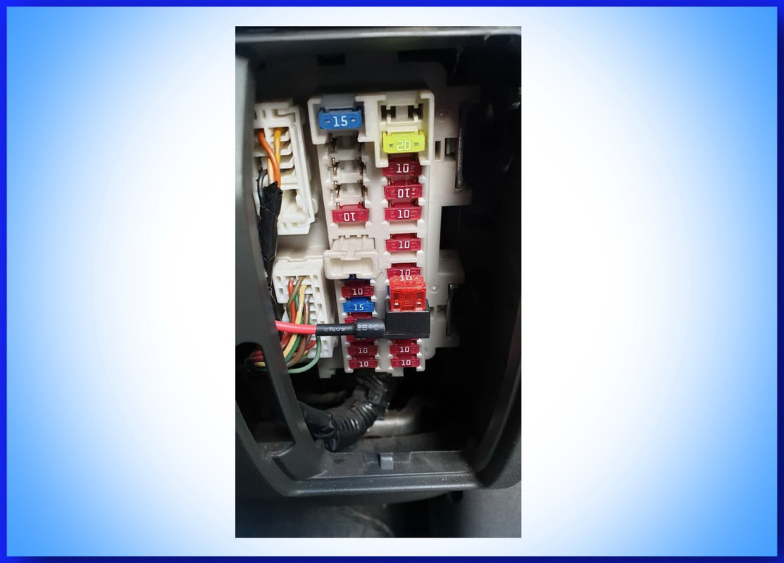 зардка пафик