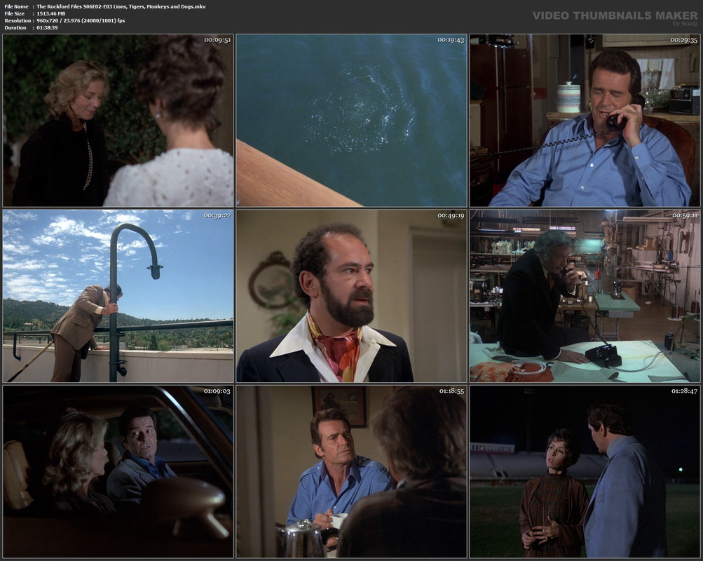 The Rockford Files S06E02-E03 Lions, Tigers, Monkeys and Dogs.mkv