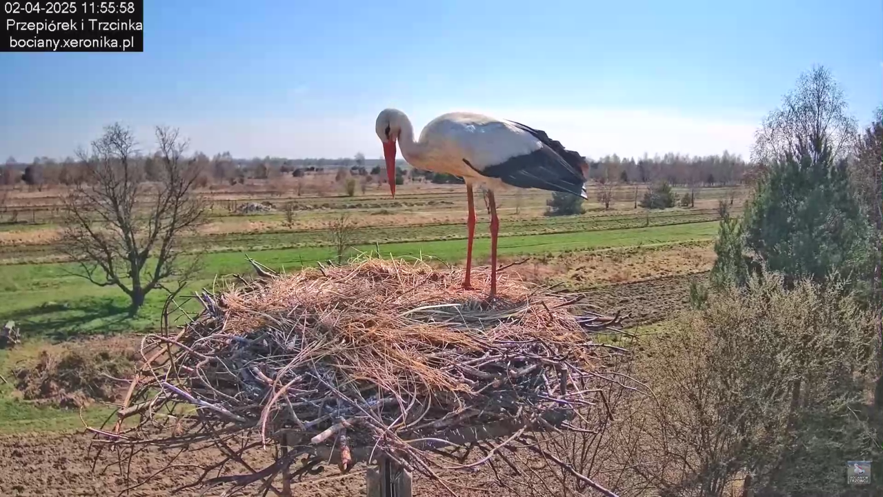 02042025krotkawizytabocka_15