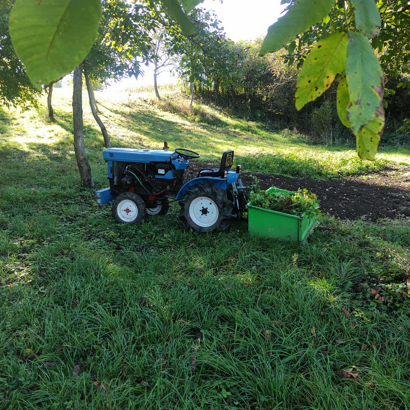 562905560_798208166407293_2323010689366030297_n