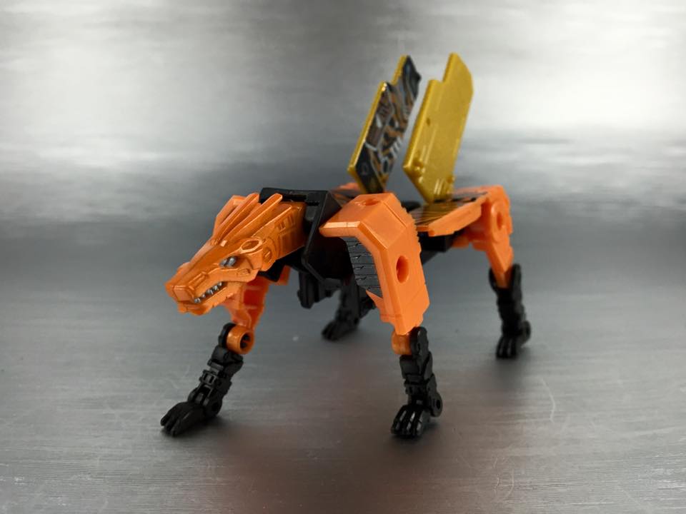 13516498_876044942522912_5570724249644751222_n