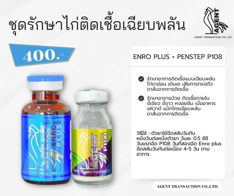 ชุดรักษาไก่ติดเชื้อเฉียบพลัน (ENRO PLUS + PENSTEP P108)