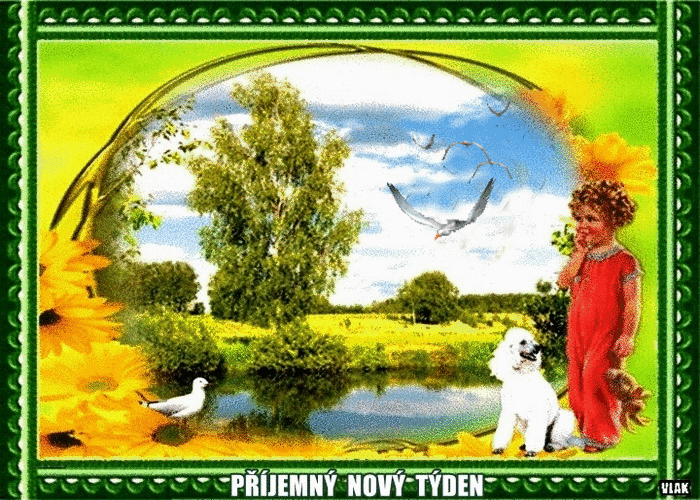 An den Beitrag angehängtes Bild: https://i.postimg.cc/qRxFNd81/18-8-PO.gif