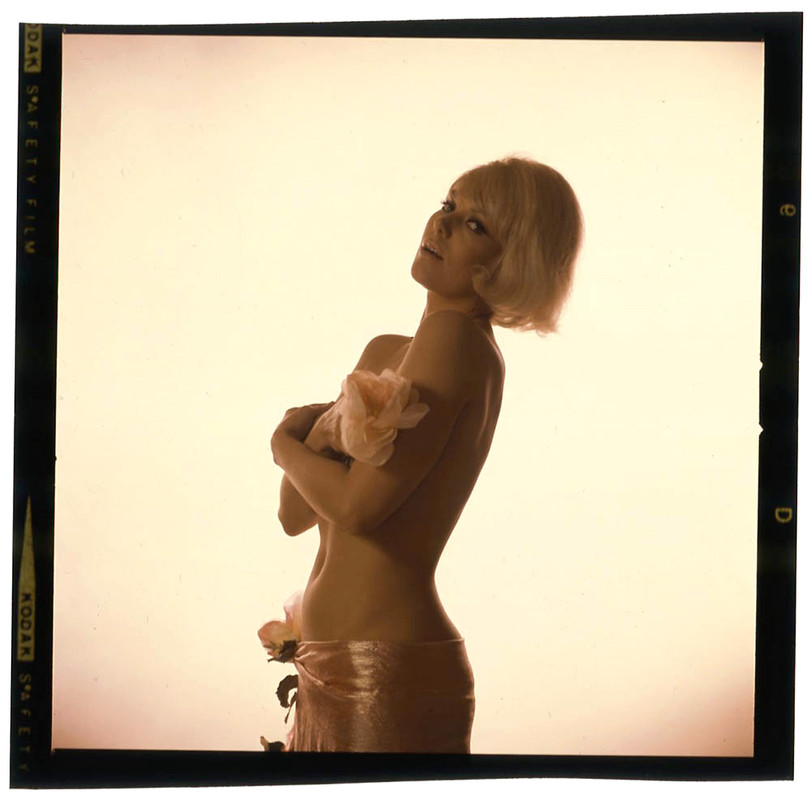 IGP29XH1968 Kim Novak by Virgil Apger