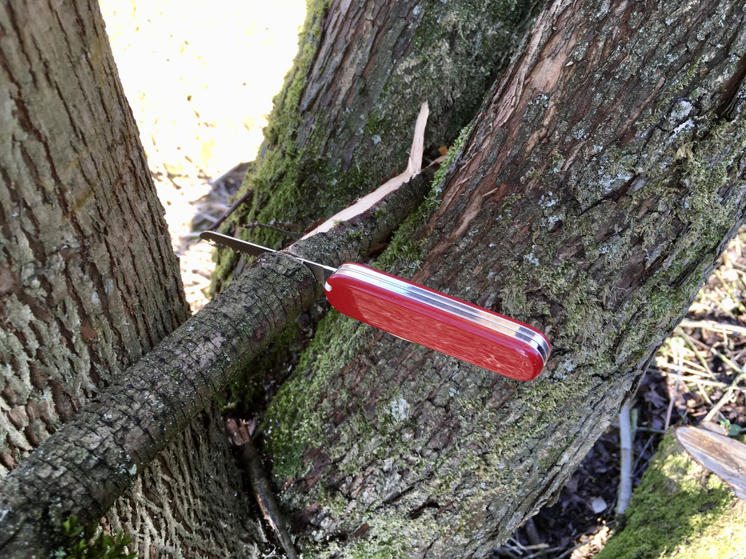 02E5A69E-1E12-4C74-8A12-0CCA4495FB3B